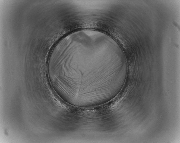 X0000094800721200711301538