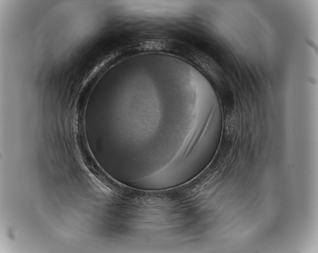 X0000094800722200711301538