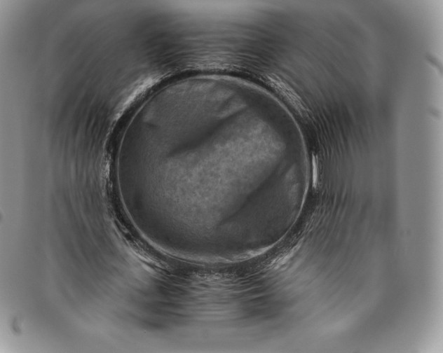 X0000094800723200711301538