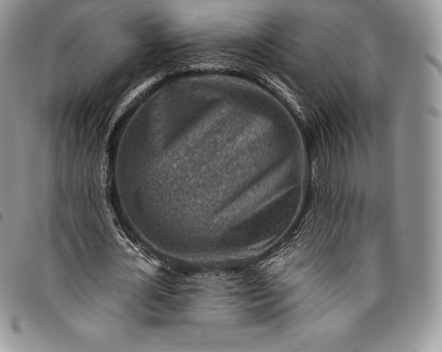 X0000094800724200711301538