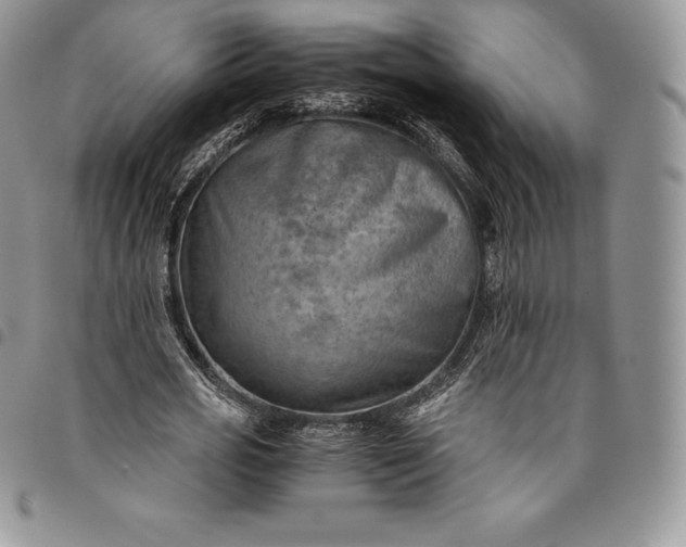 X0000094800725200711301538