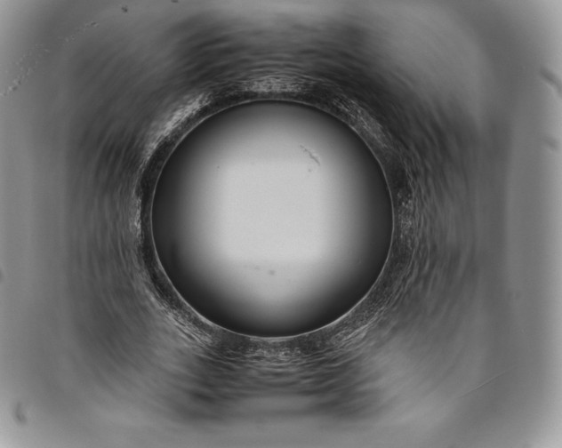 X0000094800727200711301539
