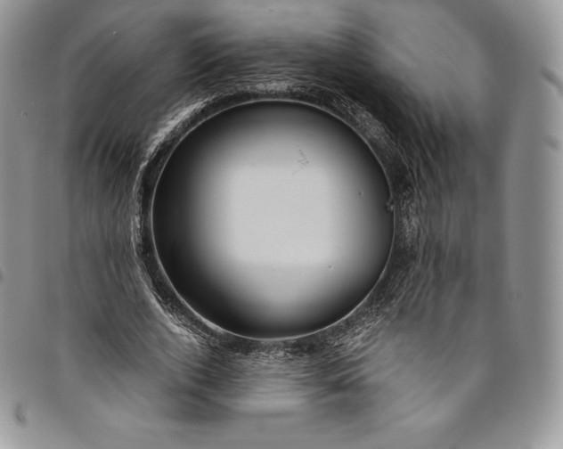 X0000094800728200711301539