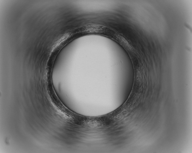 X0000094800730200711301539