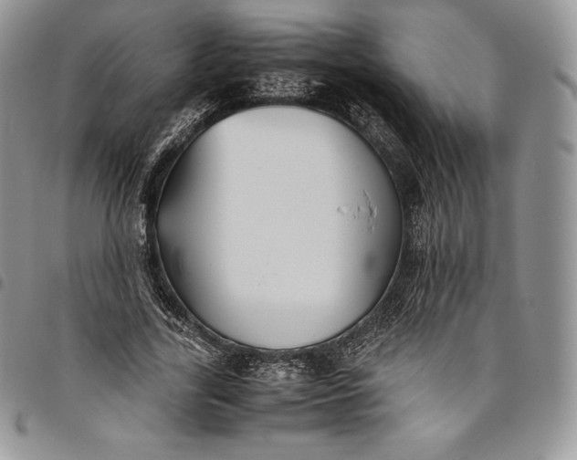 X0000094800731200711301539
