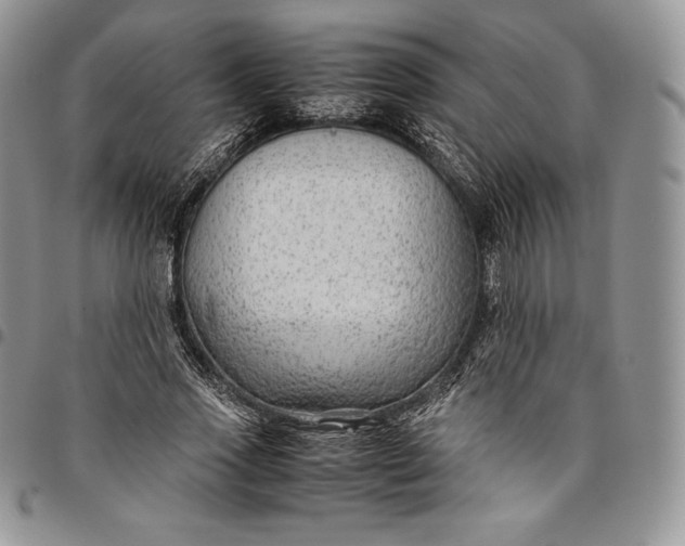X0000094800733200711301539