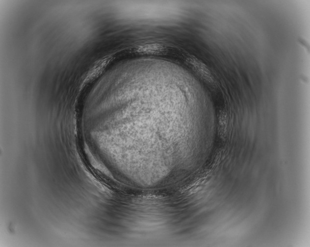 X0000094800734200711301539