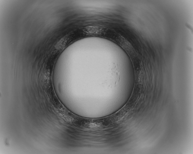 X0000094800737200711301539