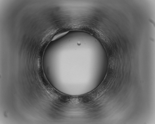 X0000094800740200711301539