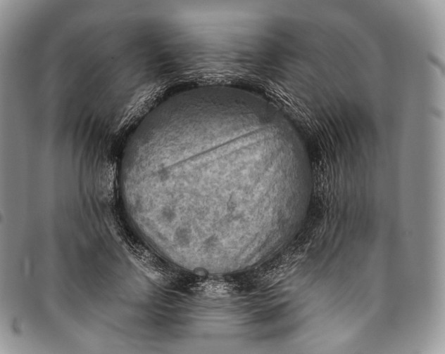 X0000094800742200711301539