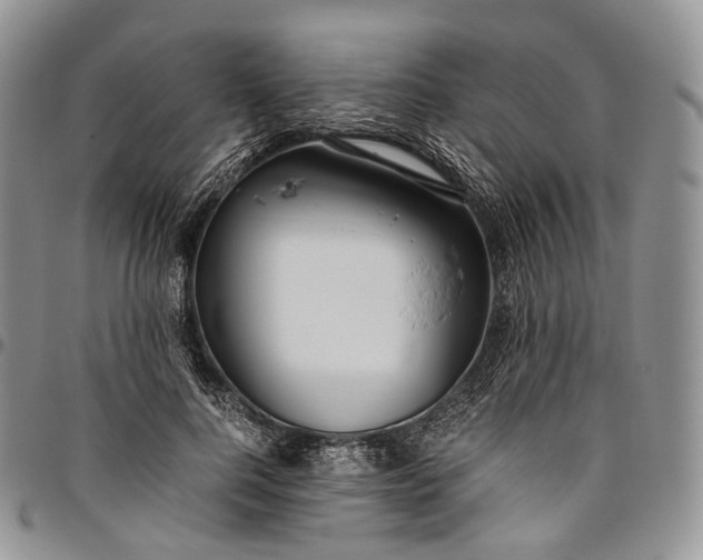 X0000094800744200711301539