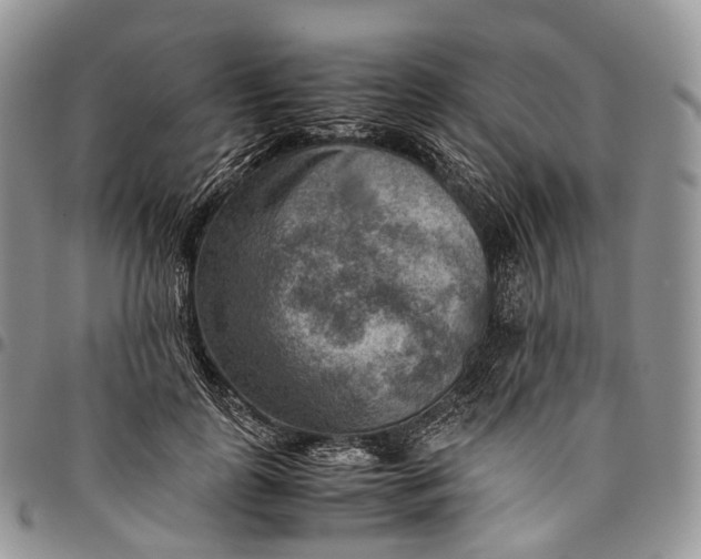 X0000094800747200711301539