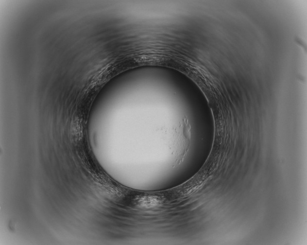 X0000094800751200711301539