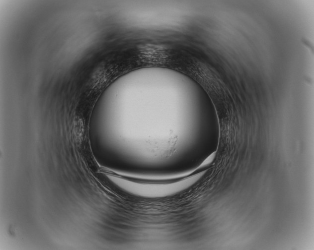 X0000094800752200711301539