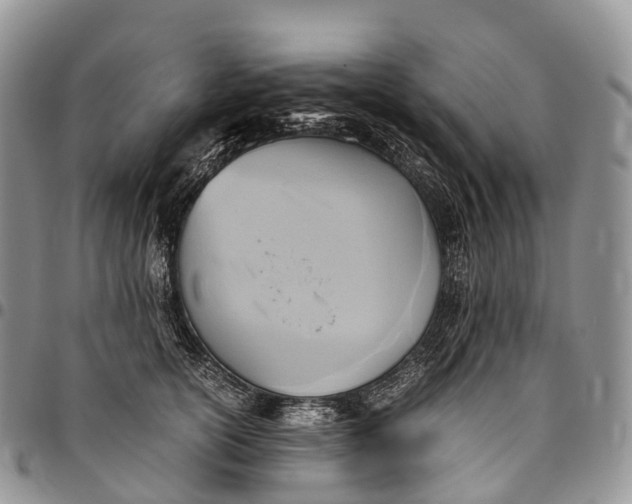 X0000094800754200711301539