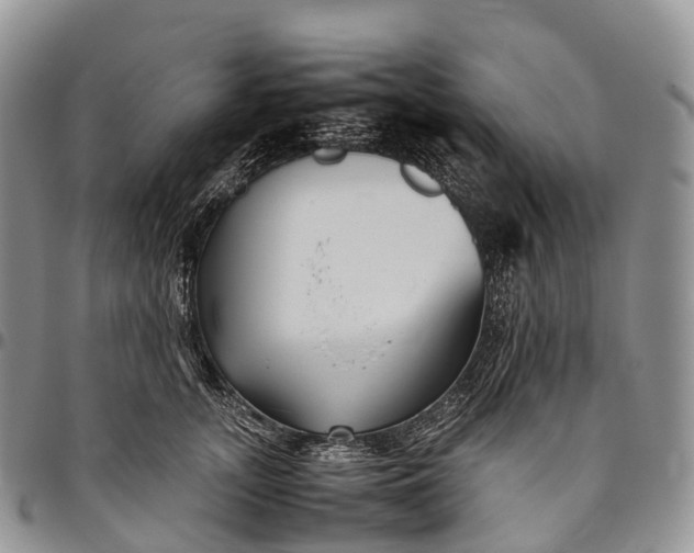 X0000094800755200711301539