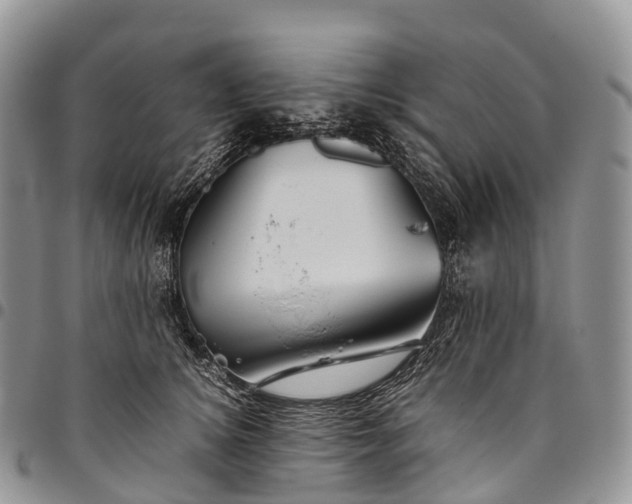 X0000094800756200711301539