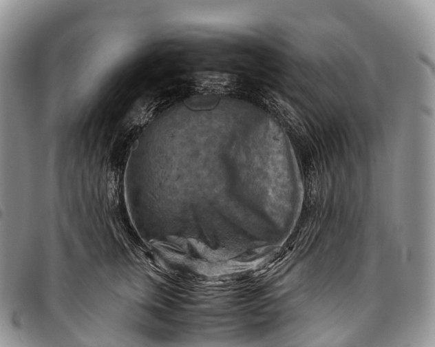X0000094800759200711301539