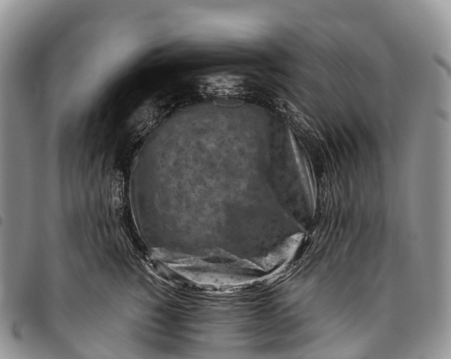 X0000094800760200711301539