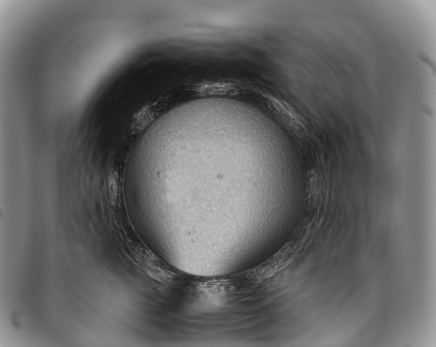 X0000094800761200711301539