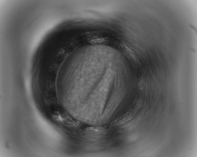 X0000094800763200711301539