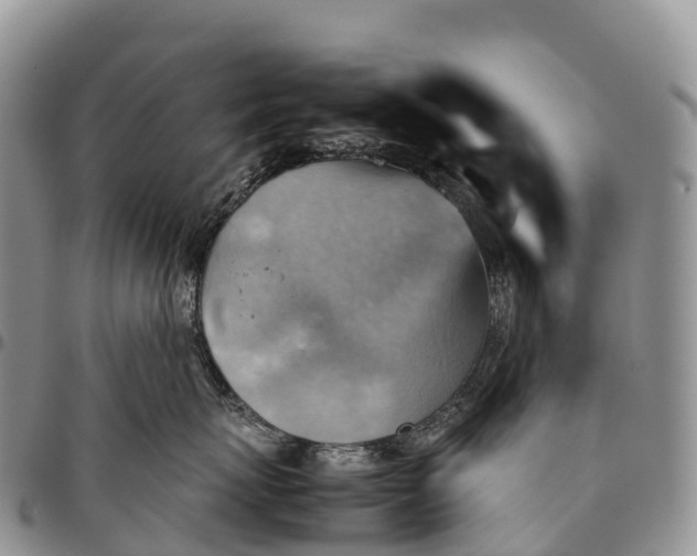 X0000094800767200711301539