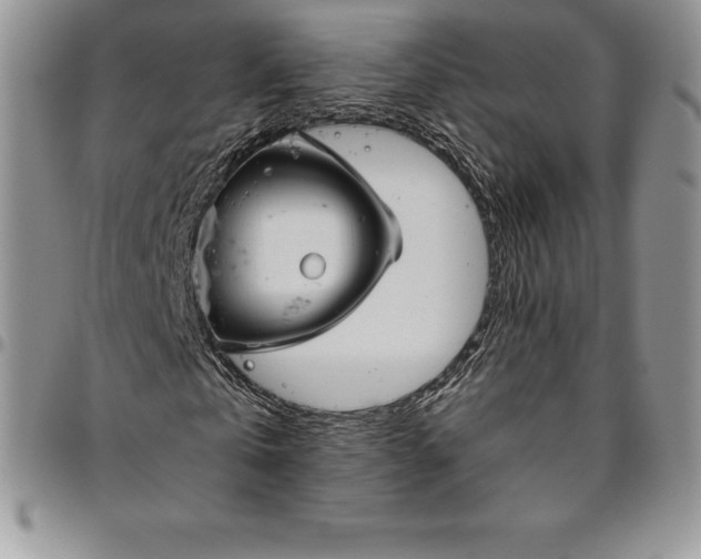 X0000094800769200711301538