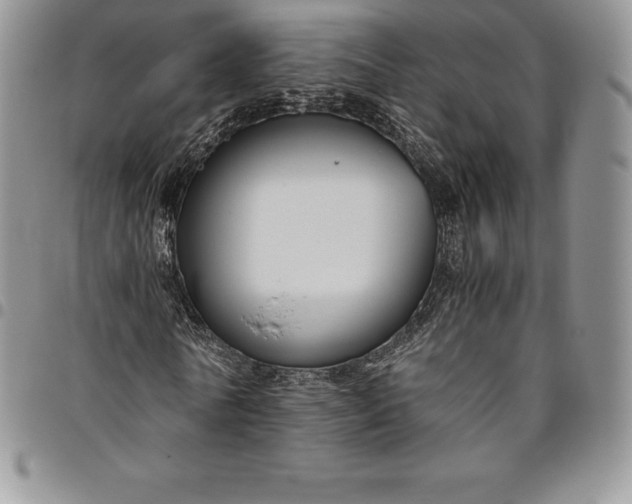 X0000094800770200711301538