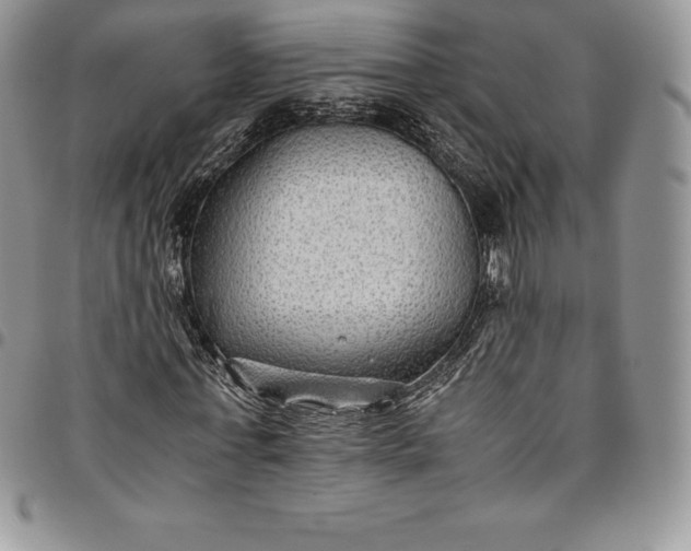X0000094800771200711301538