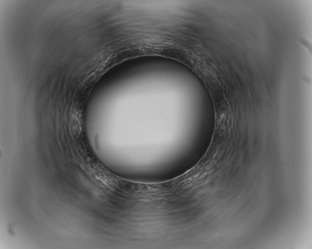 X0000094800772200711301538