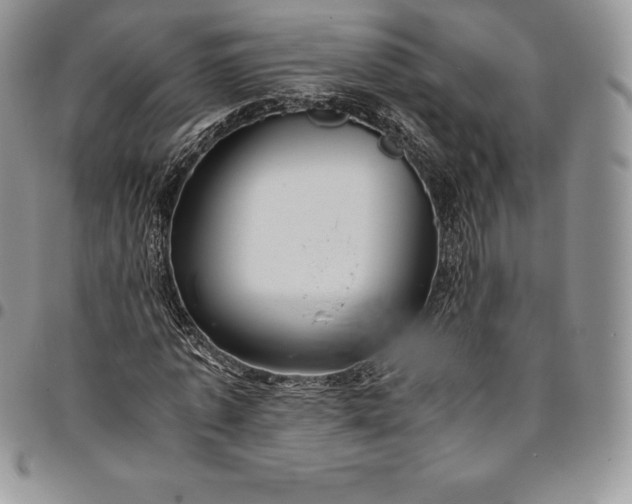 X0000094800773200711301538