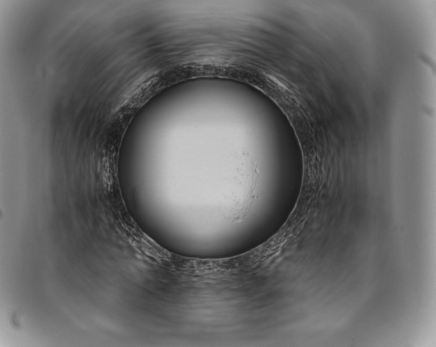 X0000094800774200711301538