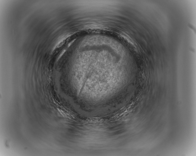 X0000094800775200711301538