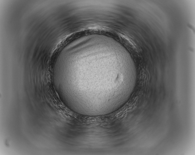 X0000094800776200711301538