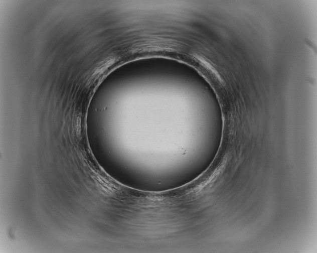 X0000094800777200711301538