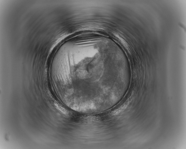 X0000094800779200711301538