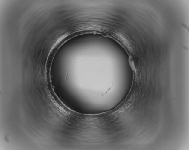 X0000094800780200711301538