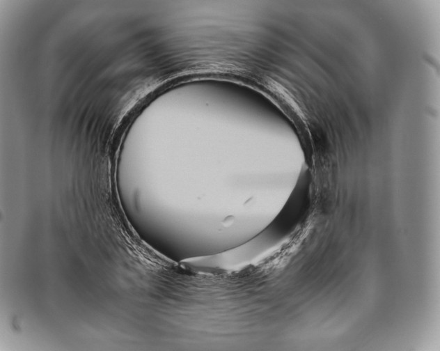 X0000094800781200711301538