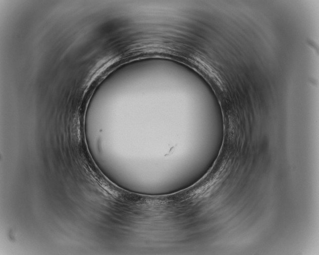 X0000094800782200711301538