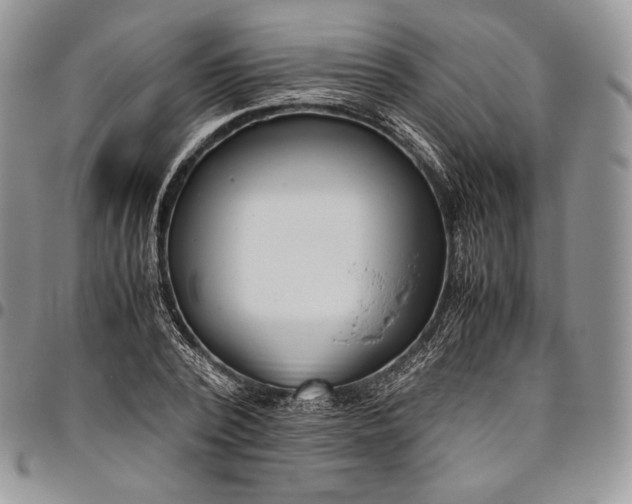 X0000094800784200711301538