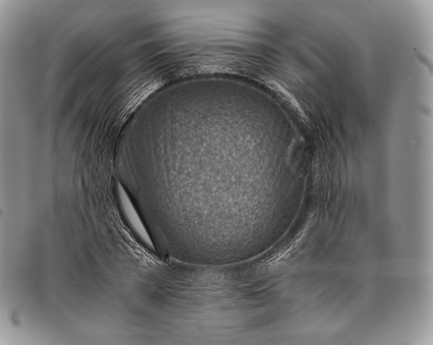 X0000094800785200711301538