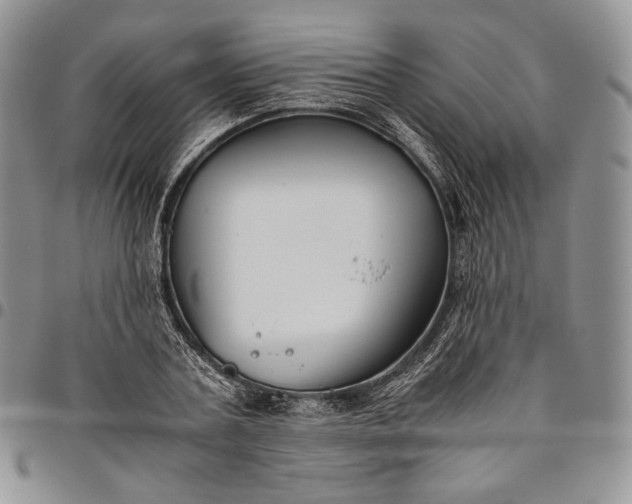 X0000094800787200711301538