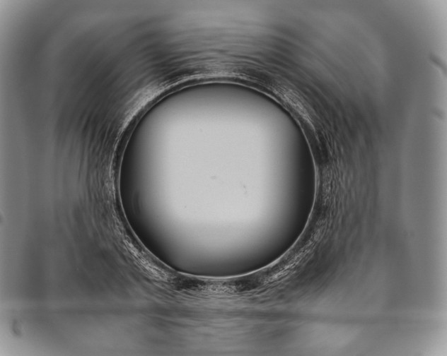 X0000094800789200711301538