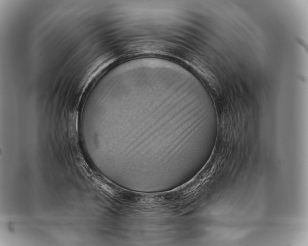 X0000094800790200711301538