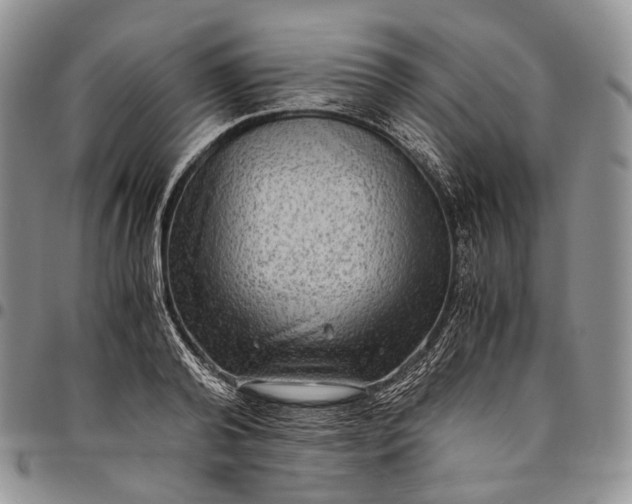 X0000094800792200711301538