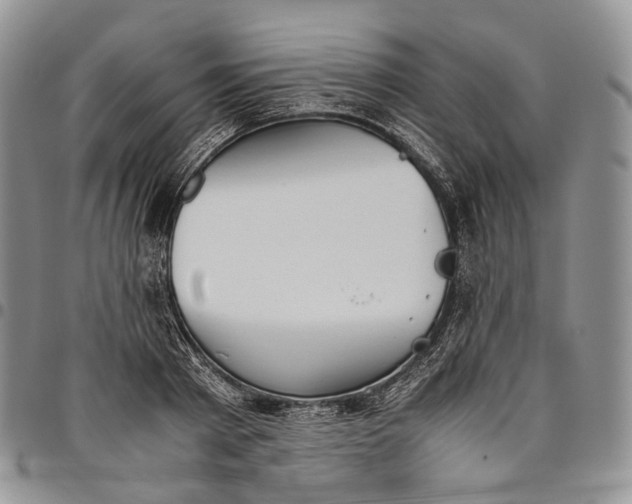 X0000094800793200711301538
