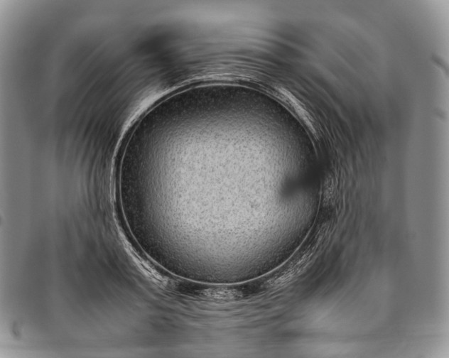X0000094800795200711301538