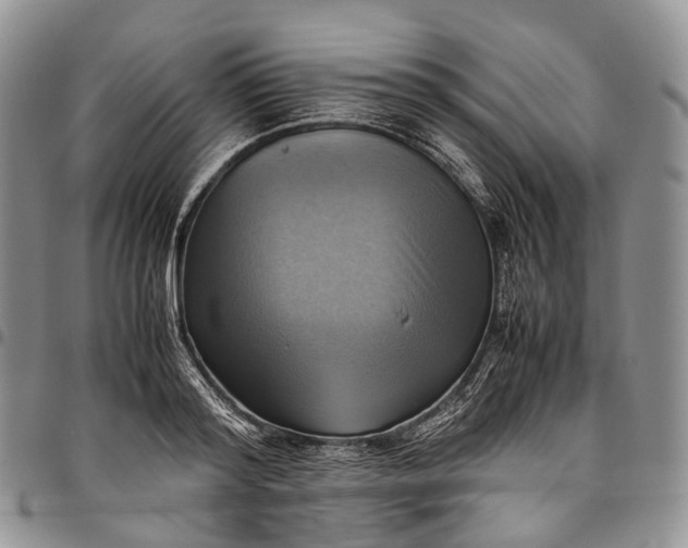 X0000094800796200711301538