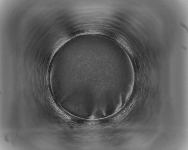 X0000094800797200711301538