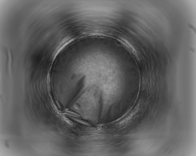 X0000094800798200711301538